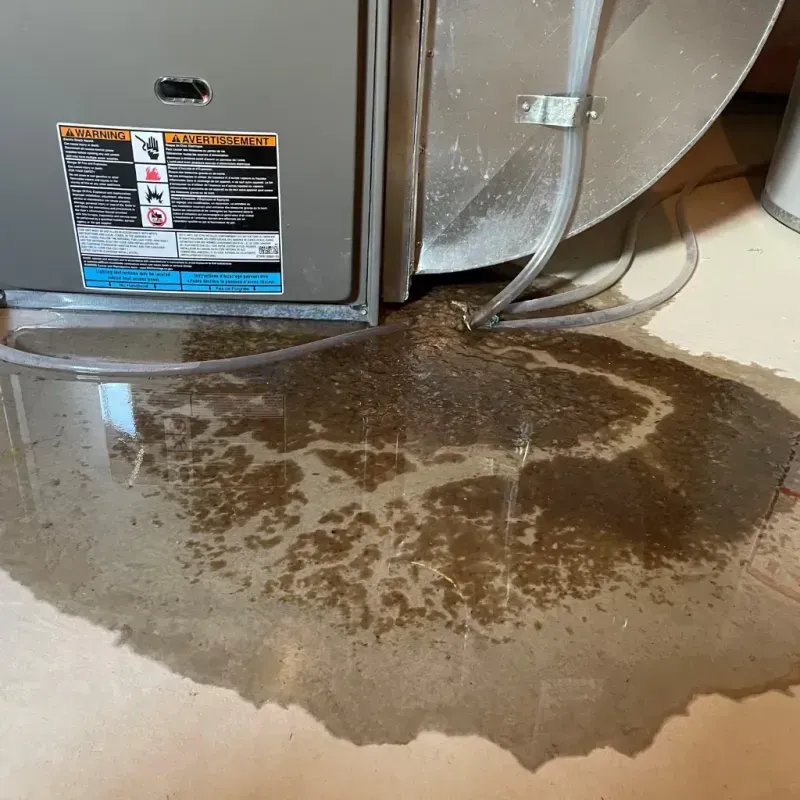 Appliance Leak Cleanup in Hartley, IA